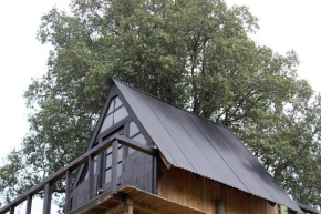 Cabaña en Arbol Quillay a 6Mts